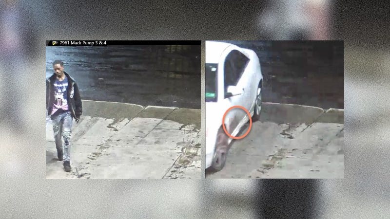 Detroit police looking for suspects who posed as officers, robbed women near Palmer Park