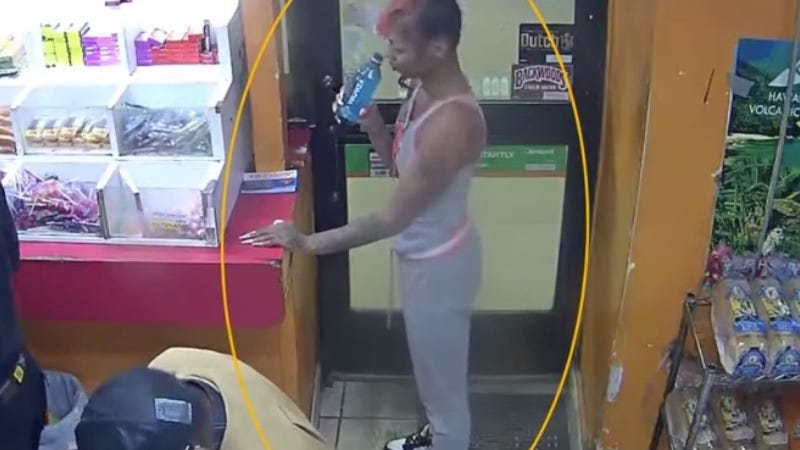 Detroit police identify female suspect who 'viciously' ran over, killed woman trying to save child