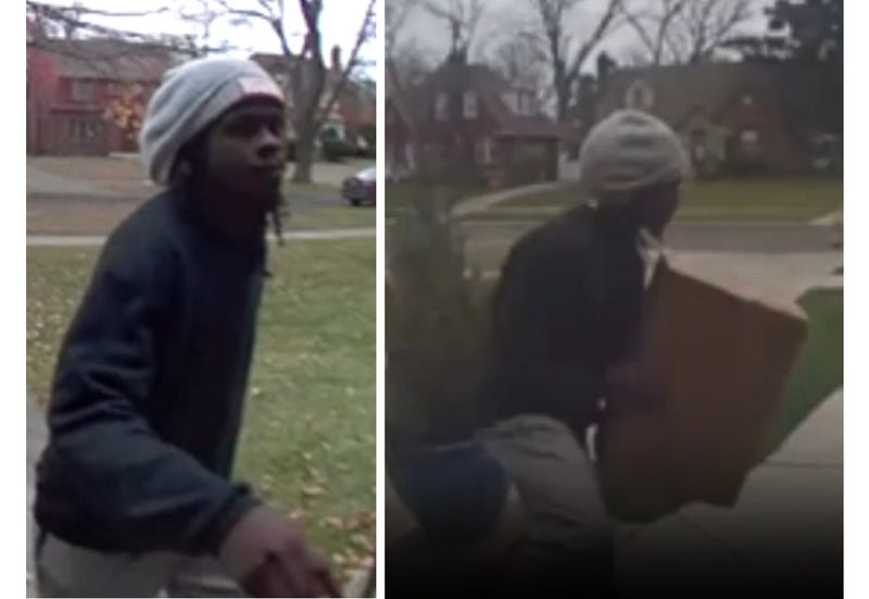 Suspect in Detroit package thefts