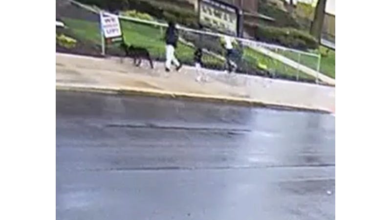 Man accused of shooting driver in Detroit while walking dog, kids on sidewalk [VIDEO]