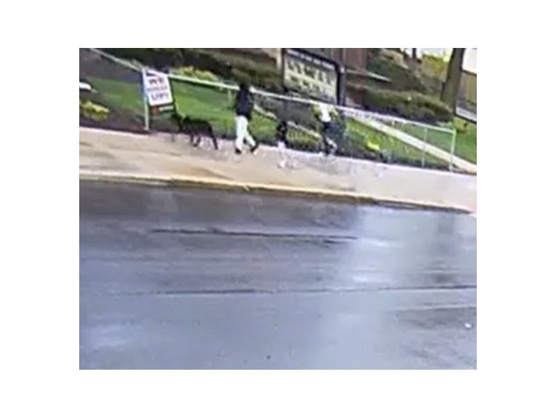 Suspect walking dog with kids