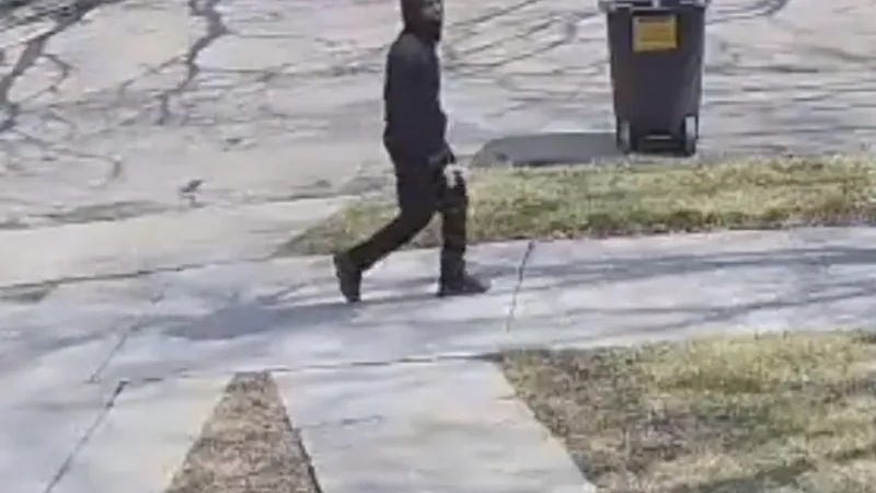 Gunfire, chaos erupts at Detroit rally for 80-year-old rape victim after crowd believes suspect showed up