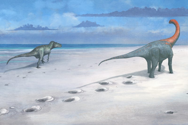 Dewars Farm artist reconstruction Megalosaurus and Cetiosaurus close up © Mark Witton 2024