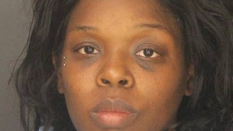 Davis pleads guilty to driving through police blockade