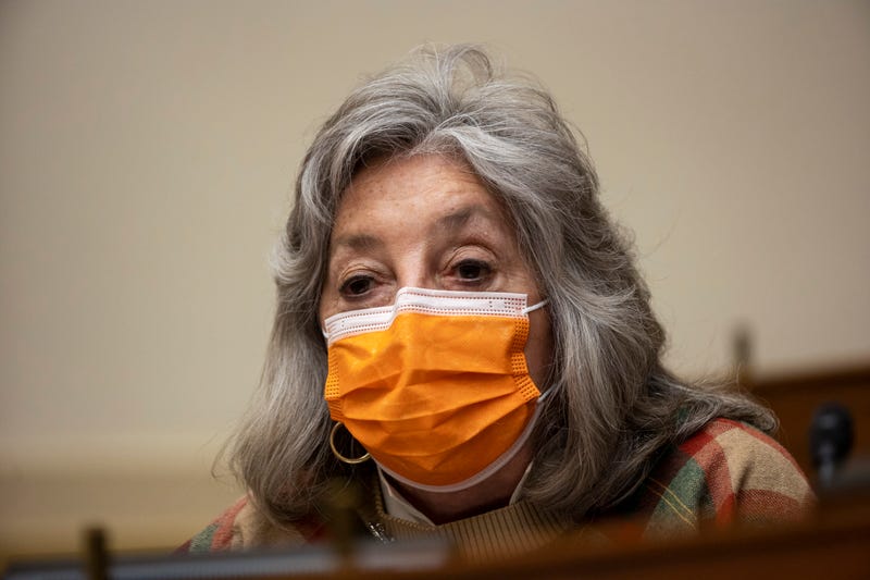 Rep. Dina Titus (D-NV) speaks as U.S. Secretary of State Antony Blinken testifies before the House Committee On Foreign Affairs March 10, 2021 on Capitol Hill