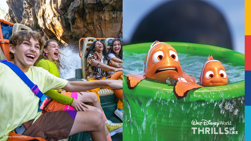 Walt DisneyWorld Thrills Us Like