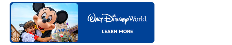 Walt Disney World Learn More banner