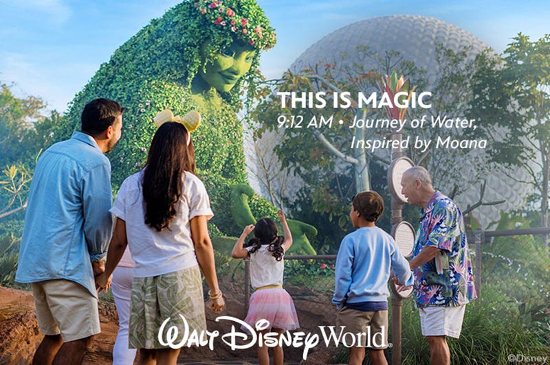 Moana Journey of Water