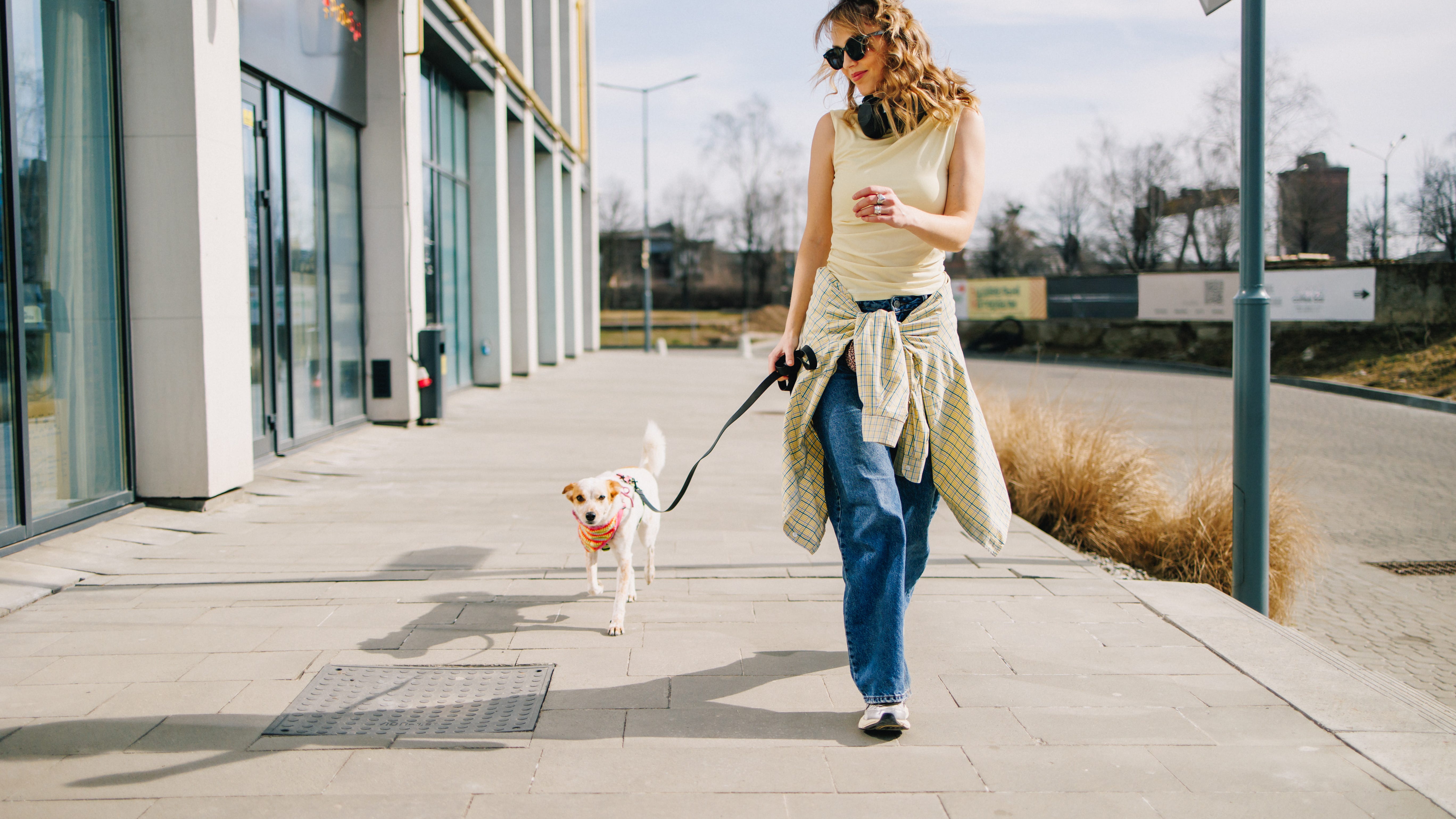 Do I Really Need 10,000 Steps a Day? | Bee Inspired