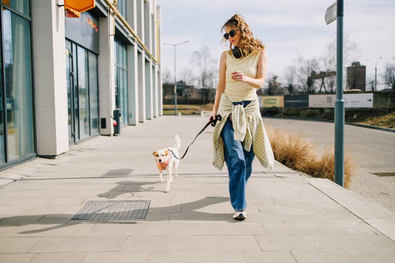 Do I Really Need 10,000 Steps a Day? | Bee Inspired
