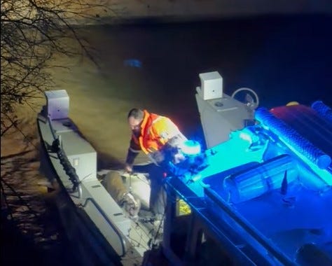 Dog rescued in Ohio River