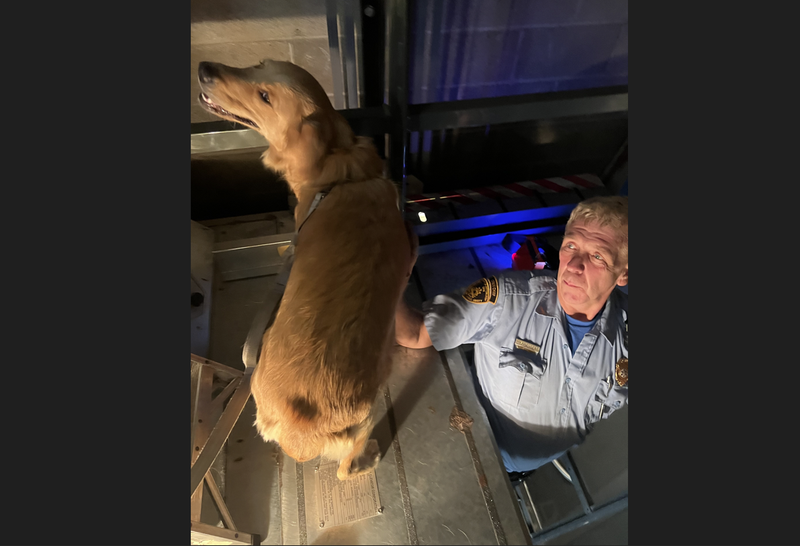 Dog rescued by Pittsburgh EMS Rescue 2