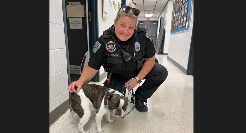 Dog abandoned at Pittsburgh International Airport