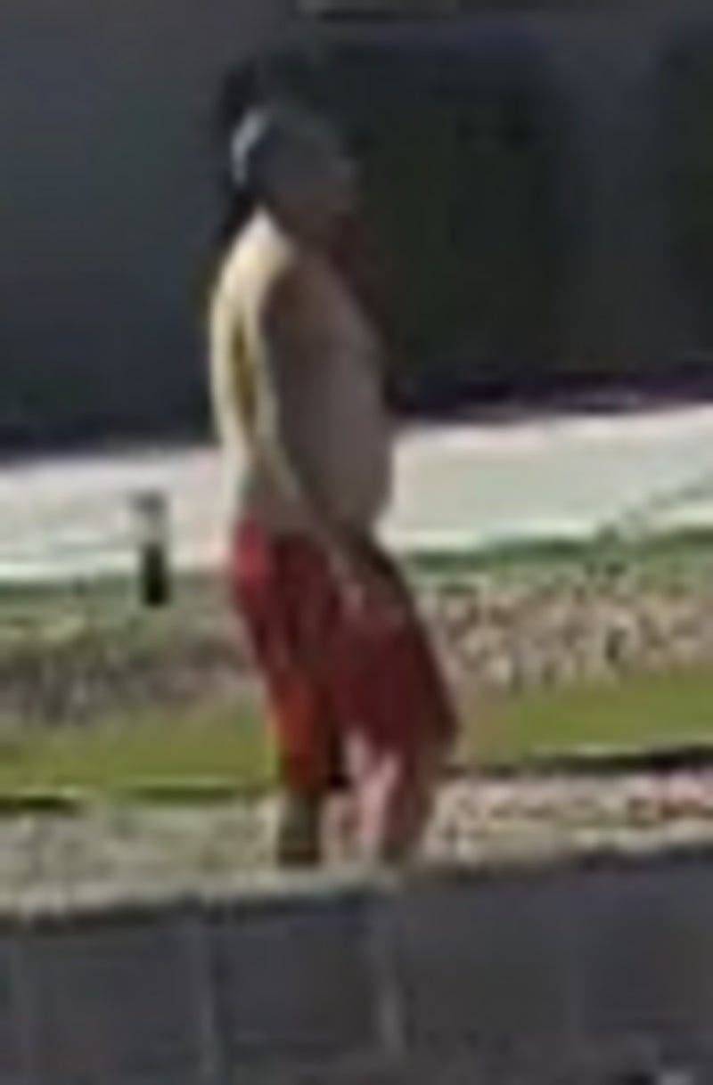 Surveillance snapshot of a man wanted for animal abuse of April 14th, 2025