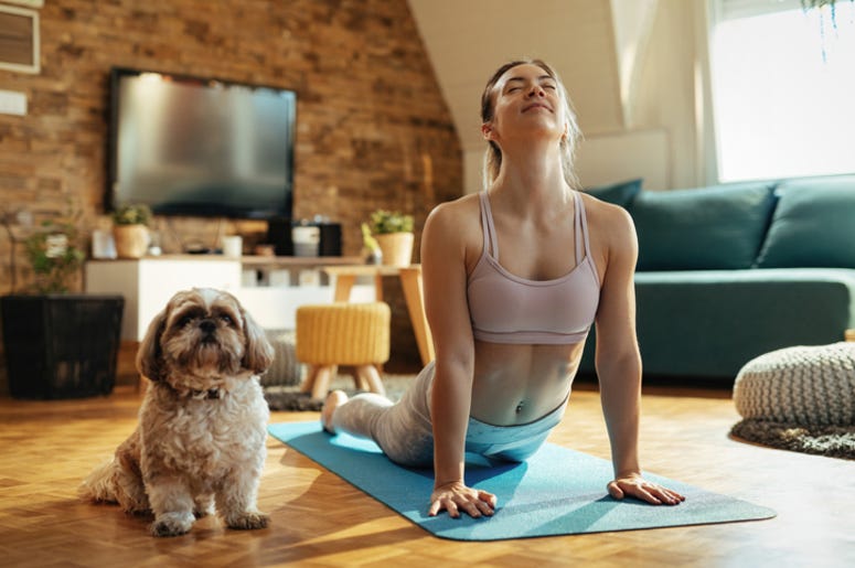 Dog Yoga