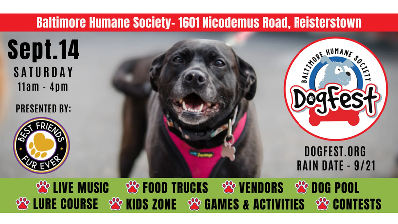Dogfest 2024 logo