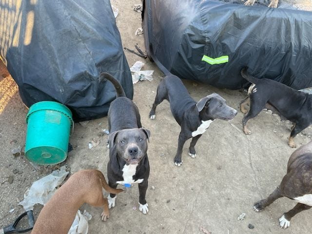 St. Louis Metropolitan Police Department