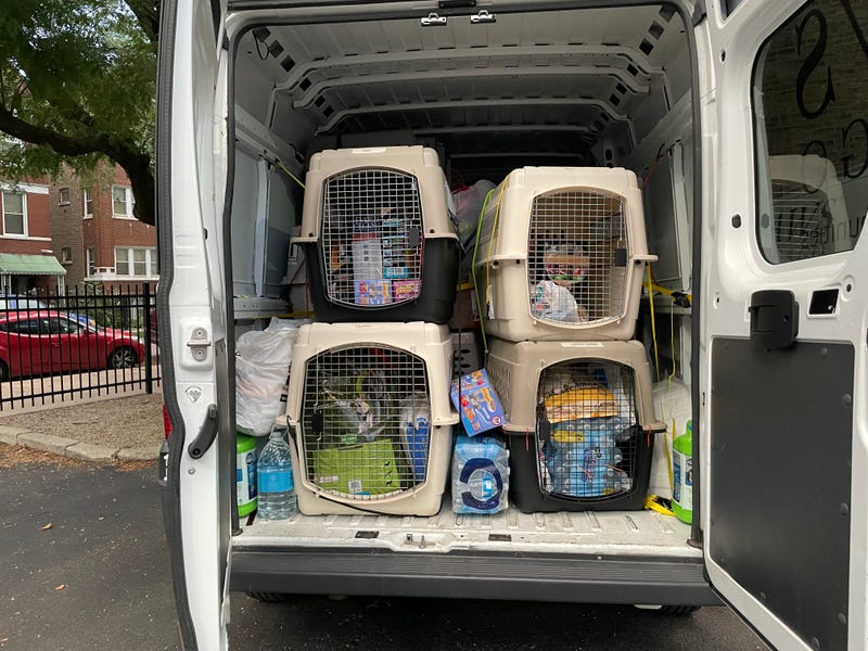 PAWS Chicago