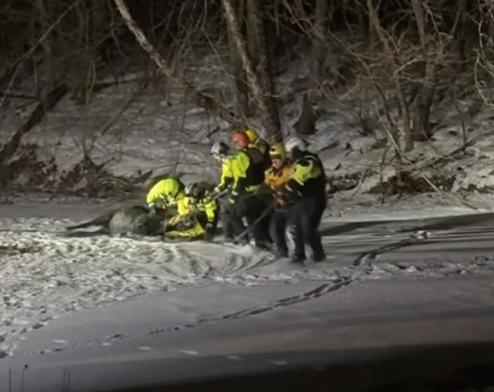 Donkey Rescue in Cranberry Township