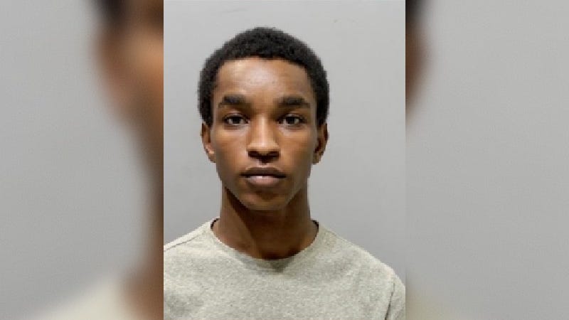 19-year-old faces slew of charges, including murder, animal cruelty after multiple deadly shootings in Detroit