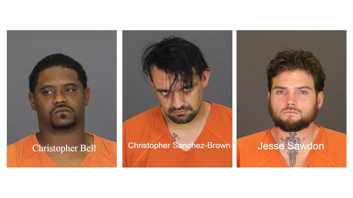 2 major drug busts in Port Huron lead to discovery of meth, other drugs, charges against 3 men
