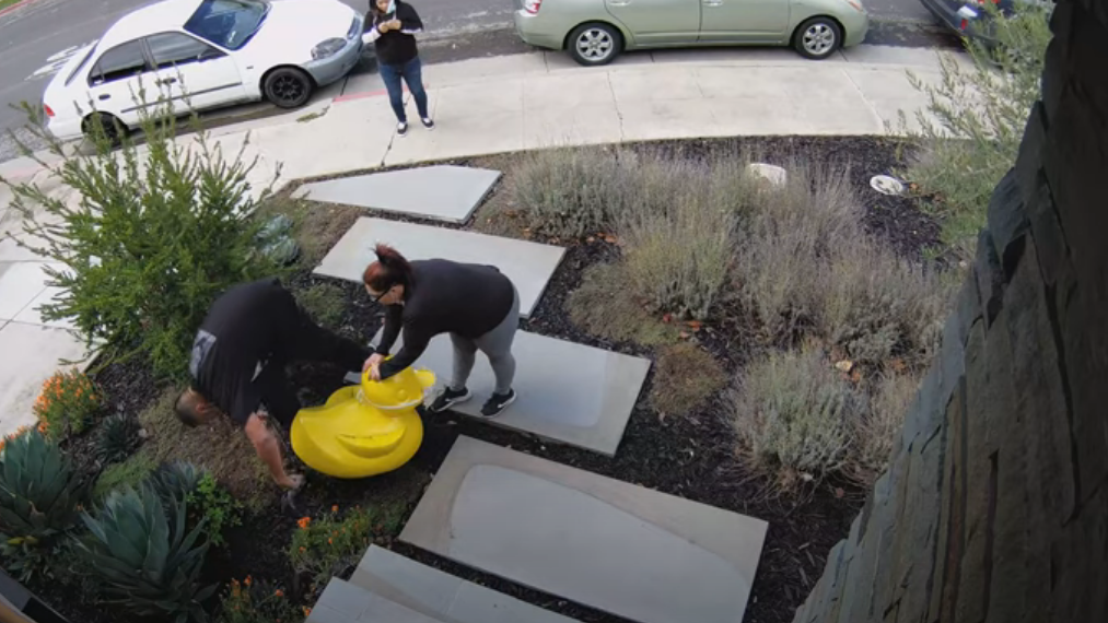 VIDEO: Thieves steal duck statue 'Ruberta' from Mountain View yard