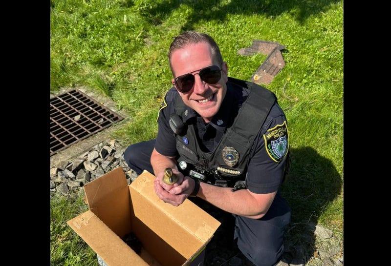 Murrysville Police officer with rescued duck