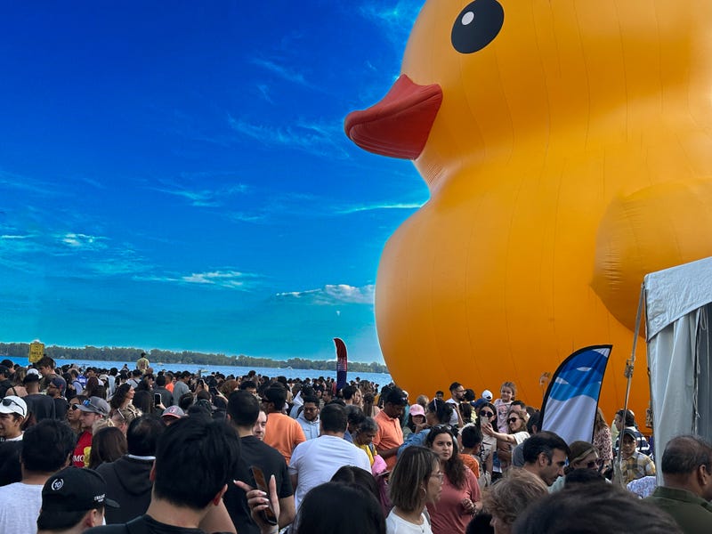 World's Largest Rubber Duck