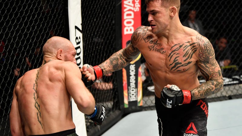 ufc fight