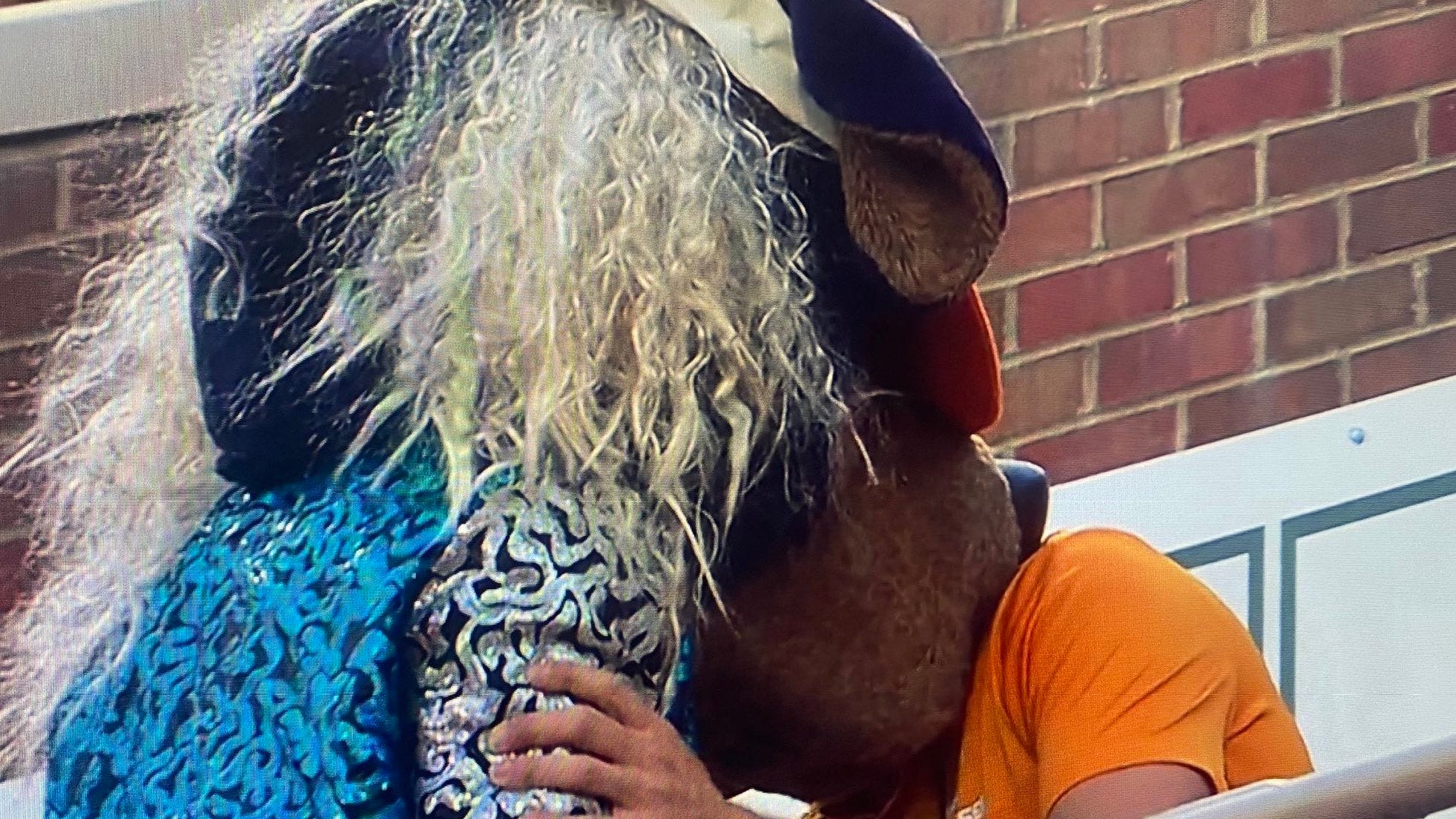 Yes, Tennessee's mascot dressed up as 'Tiger King' for LSU showdown; take a look