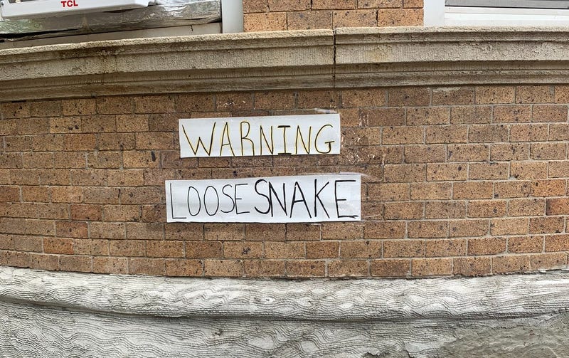 Loose Snake