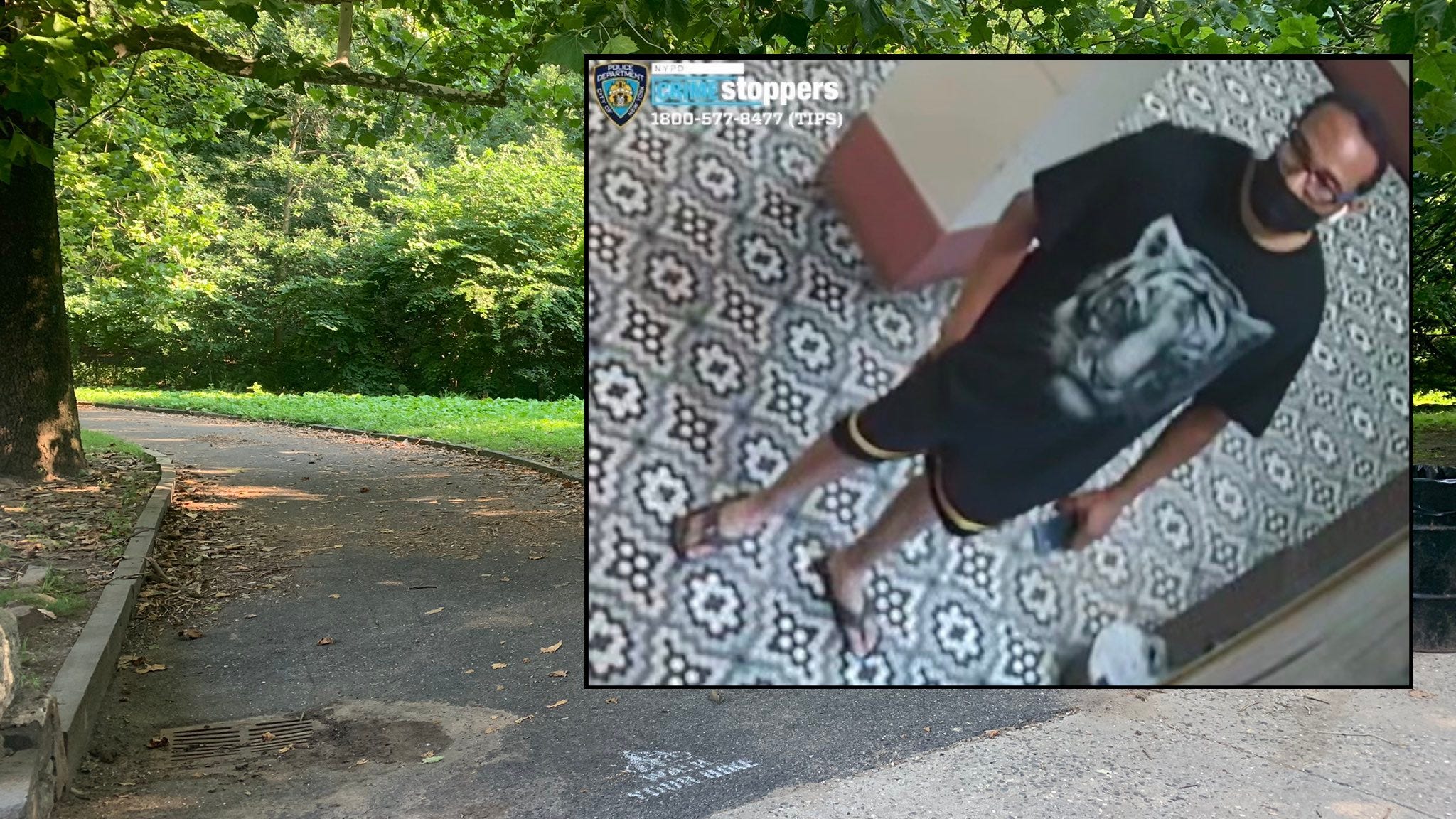 ARRESTED: Man faces attempted rape, other charges in attacks on women at upper Manhattan park