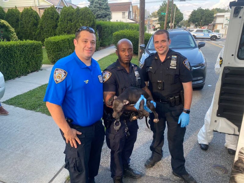 NYPD