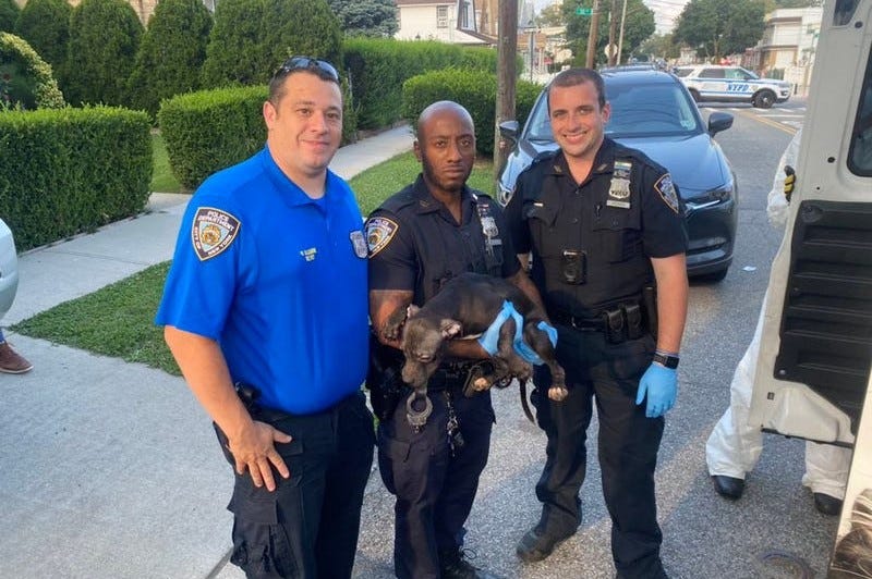 NYPD