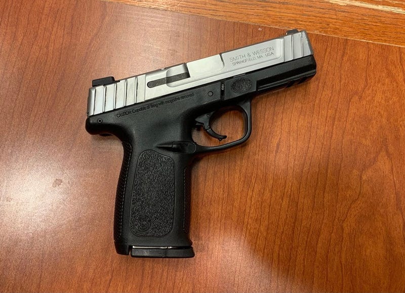 Gun