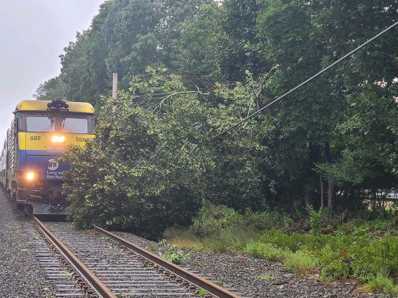 A downed tree that MTA crews removed Sunday in East Hampton during Tropical Storm Henri. 