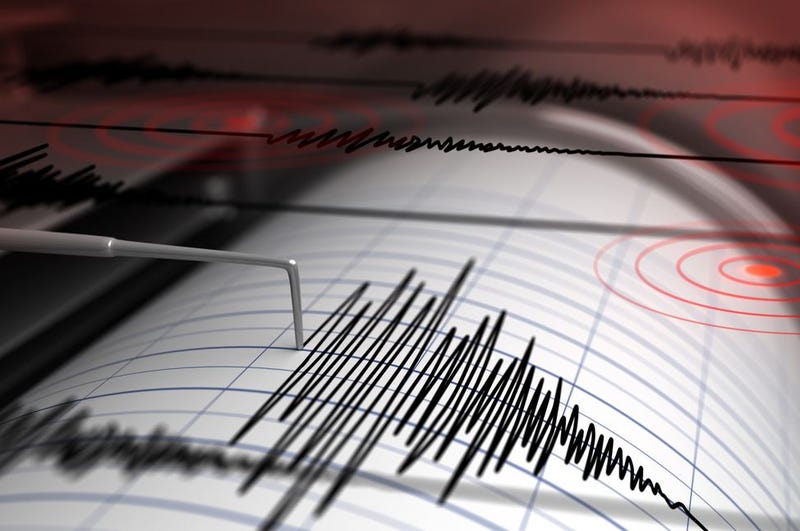 NE earthquake