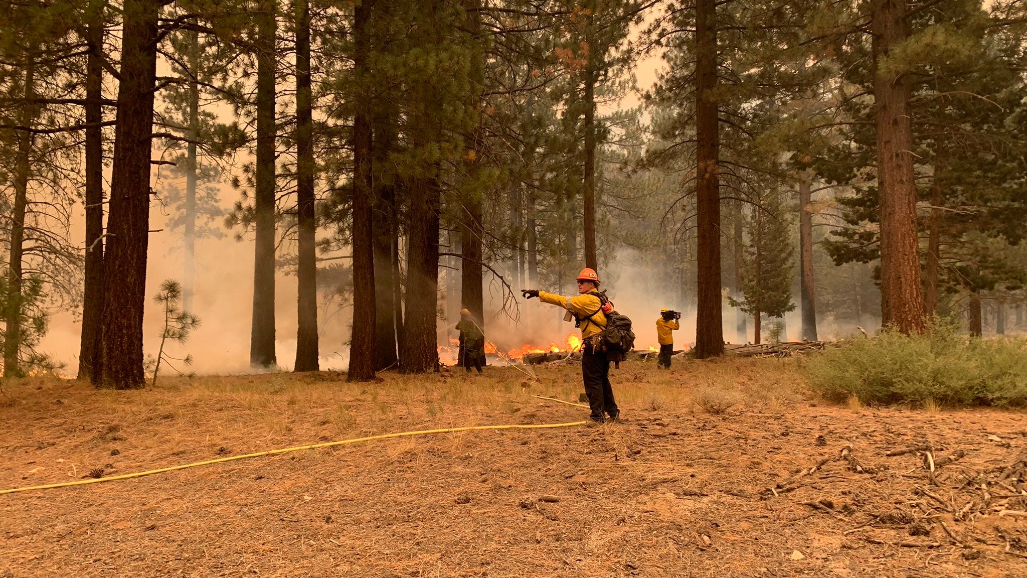 How San Jose State scientists are fighting the Caldor Fire - from over 200 miles away