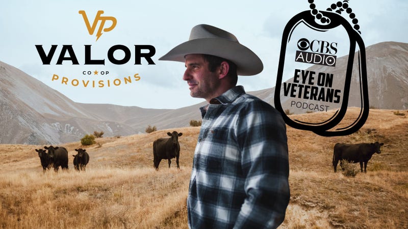 Eye on Veterans Valor Provisions 