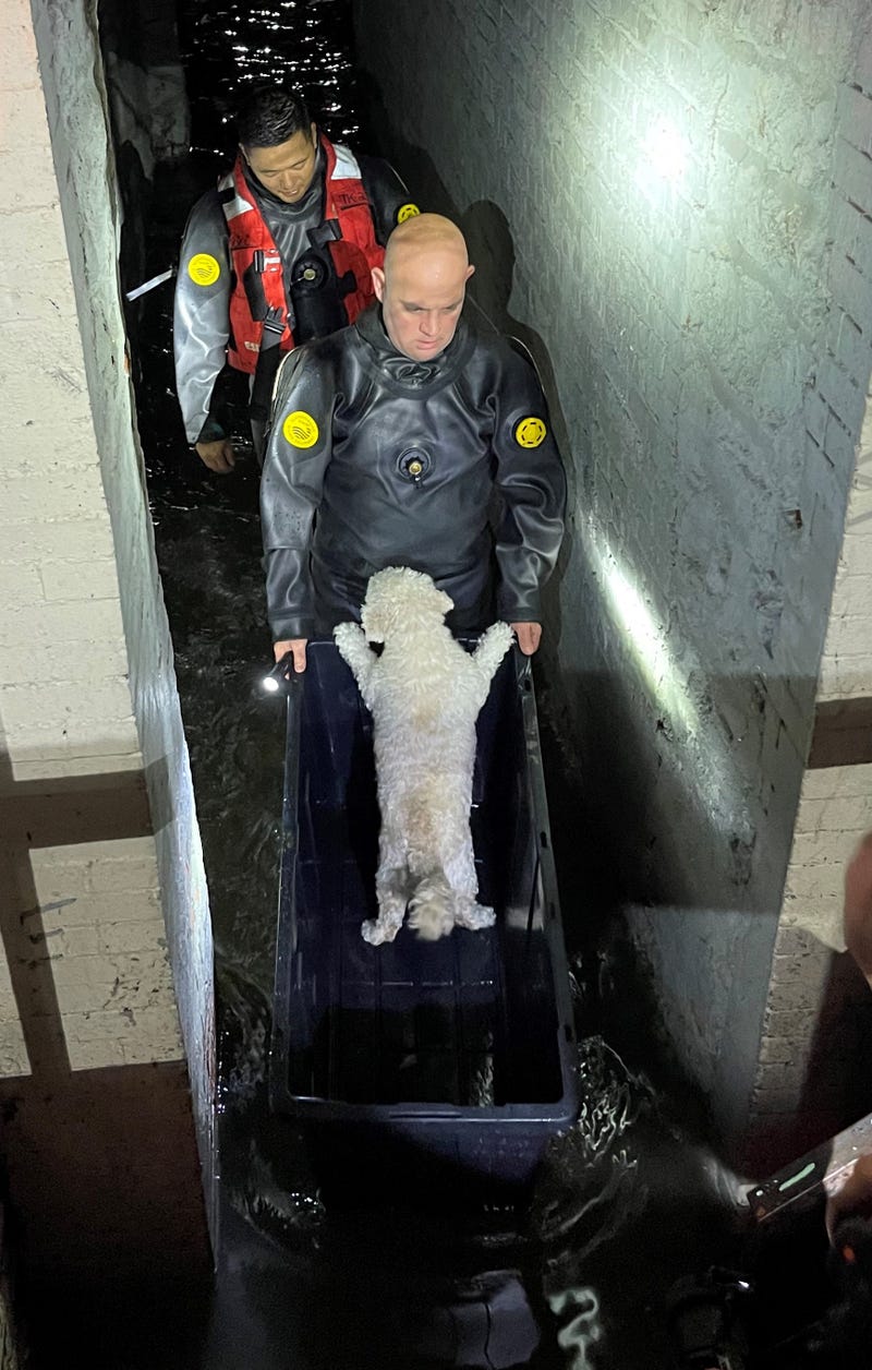 NYPD Rescue