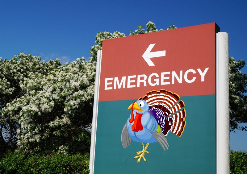 turkey er visit