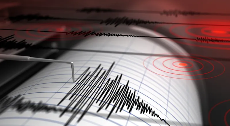 Earthquake seismograph
