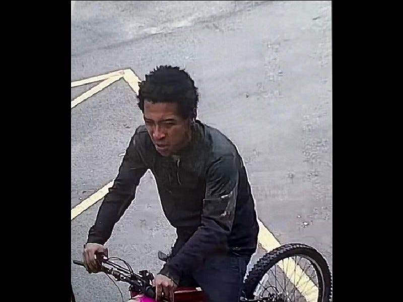 Suspected porch pirate caught on camera in Eastpointe
