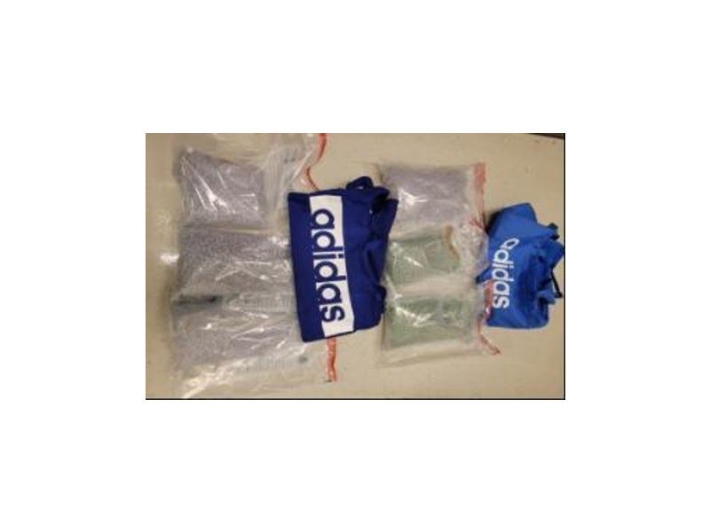 Drugs seized near Algonac