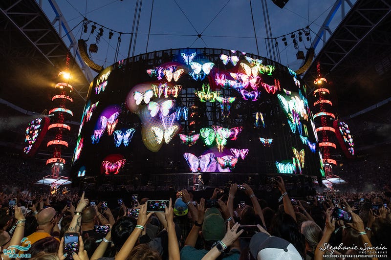 Stephanie Savoia Photography