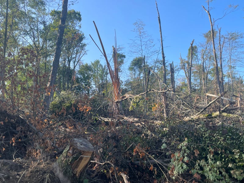Eden tornado damage