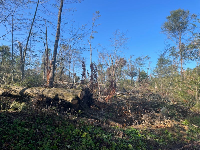Eden tornado damage