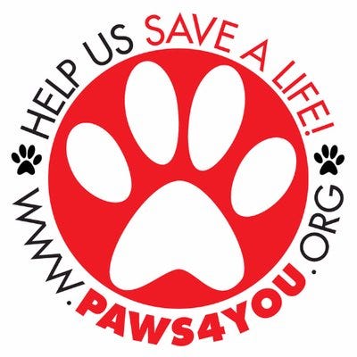 paws