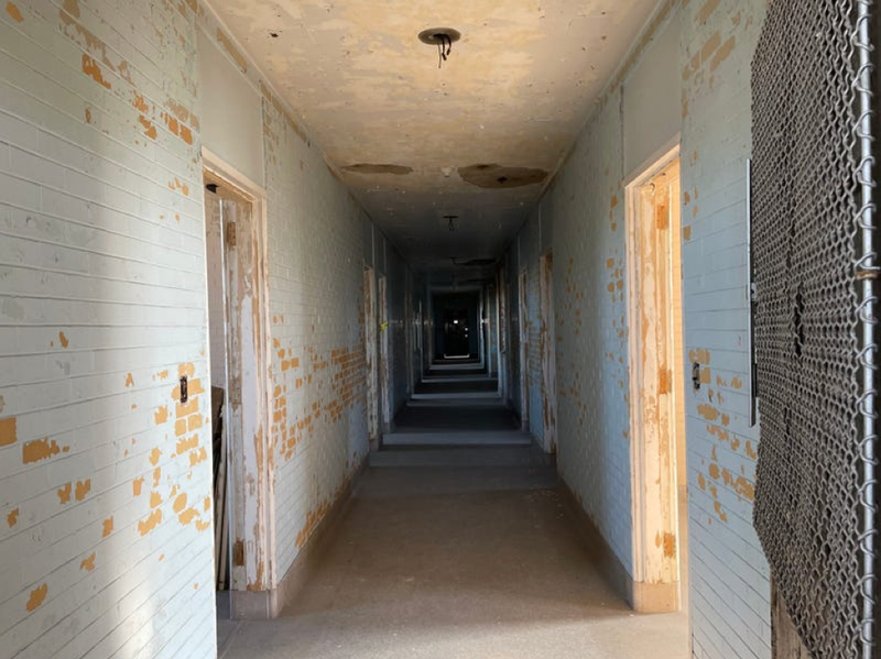 Eloise Asylum in Westland
