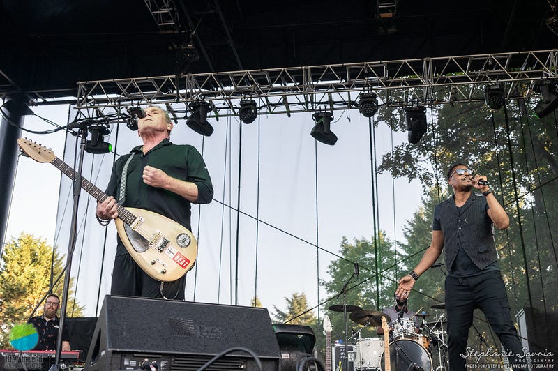English Beat at Marymoor Park on July 14th